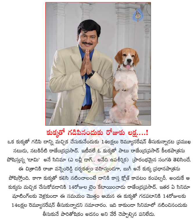 tommy movie,rajendra prasad,dog,tommy,1 lakh rupees,rajendra prasad charged on lakh rupees per day,tommy telugu movie  tommy movie, rajendra prasad, dog, tommy, 1 lakh rupees, rajendra prasad charged on lakh rupees per day, tommy telugu movie